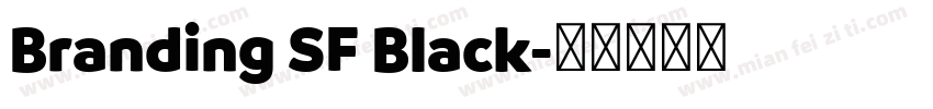 Branding SF Black字体转换
